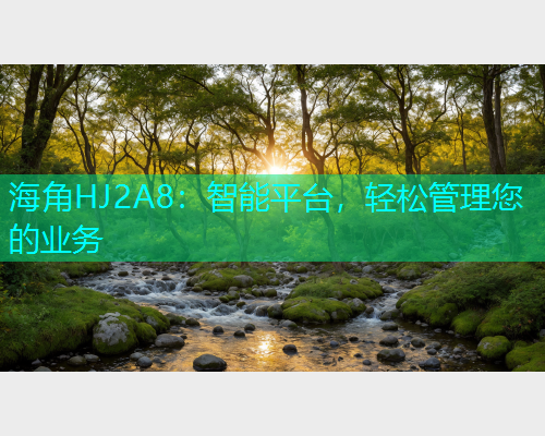 海角HJ2A8：智能平台，轻松管理您的业务