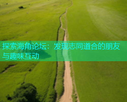 探索海角论坛：发现志同道合的朋友与趣味互动