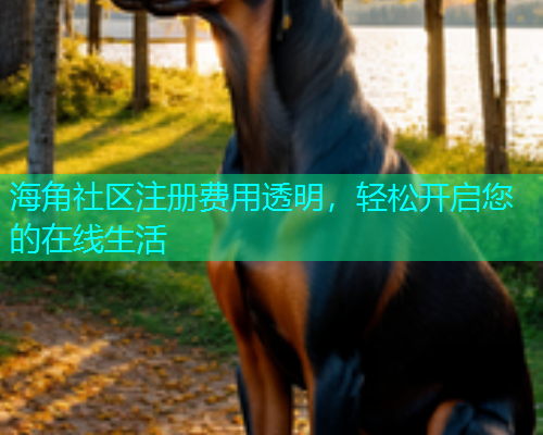 海角社区注册费用透明，轻松开启您的在线生活