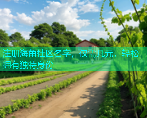 注册海角社区名字，仅需几元，轻松拥有独特身份