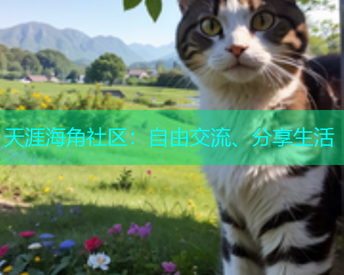 天涯海角社区：自由交流、分享生活