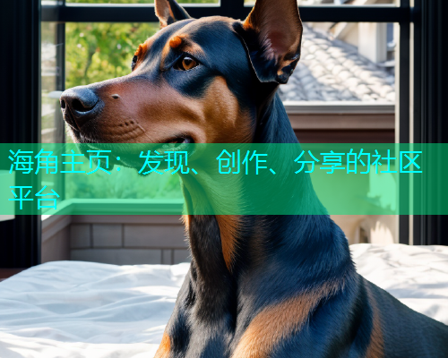 海角主页：发现、创作、分享的社区平台