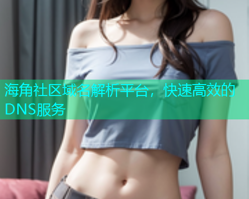 海角社区域名解析平台，快速高效的DNS服务