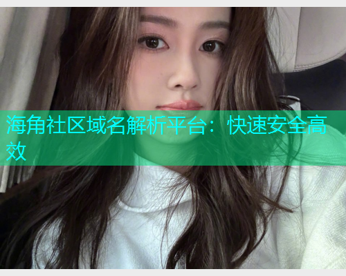 海角社区域名解析平台：快速安全高效