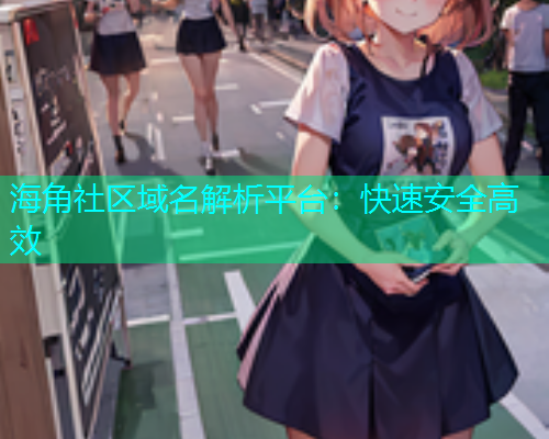 海角社区域名解析平台：快速安全高效