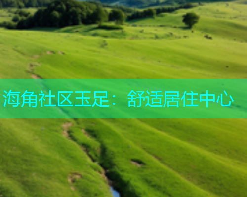 海角社区玉足：舒适居住中心