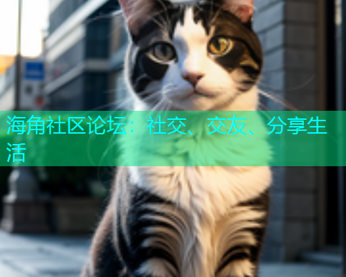 海角社区论坛：社交、交友、分享生活