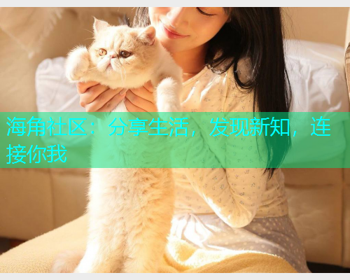 海角社区:分享生活,发现新知,连接你我 海角社区:分享生活,发现新知,连接你我