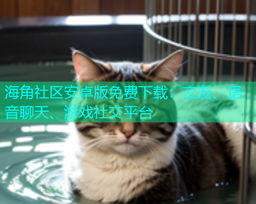 海角社区安卓版免费下载：交友、语音聊天、游戏社交平台