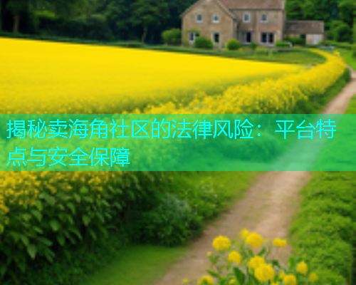 揭秘卖海角社区的法律风险：平台特点与安全保障