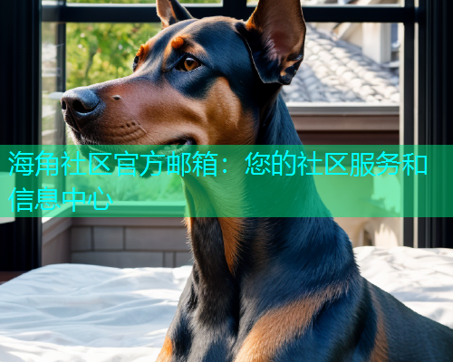 海角社区官方邮箱：您的社区服务和信息中心