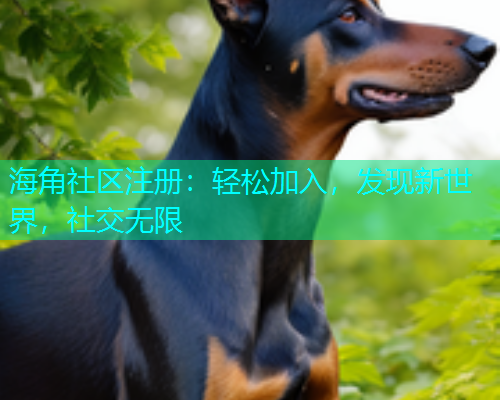 海角社区注册：轻松加入，发现新世界，社交无限
