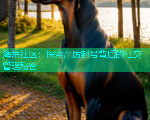 海角社区：探索严厉封号背后的社交管理秘密