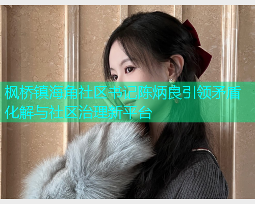 枫桥镇海角社区书记陈炳良引领矛盾化解与社区治理新平台