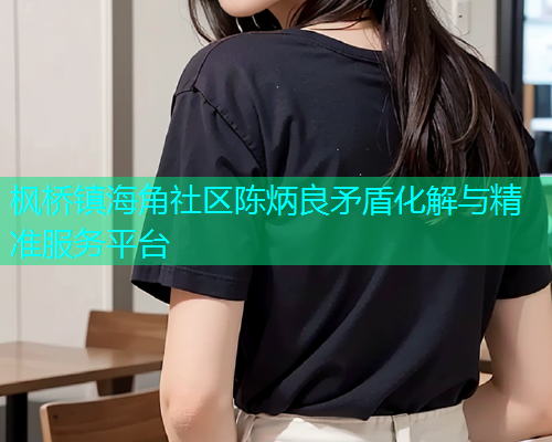 枫桥镇海角社区陈炳良矛盾化解与精准服务平台 枫桥镇海角社区陈炳良矛盾化解与精准服务平台